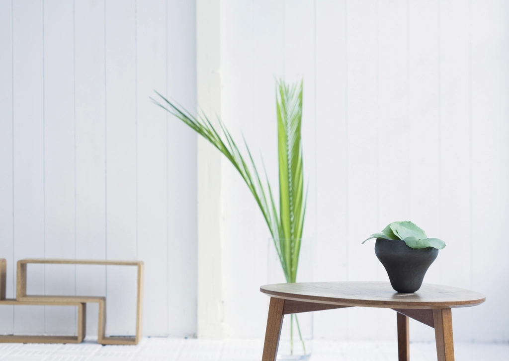 Rincón luminoso con mesa de madera y plantas